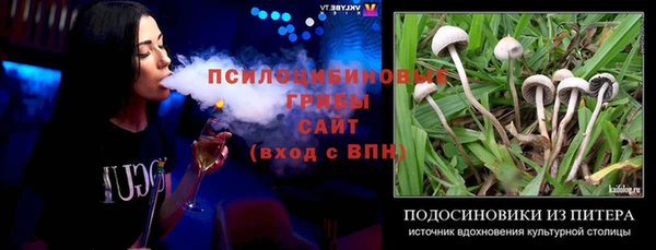мет Алексин