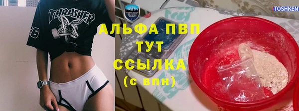 спиды Абаза