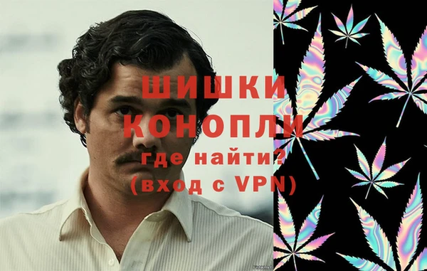 прущие грибы Алзамай