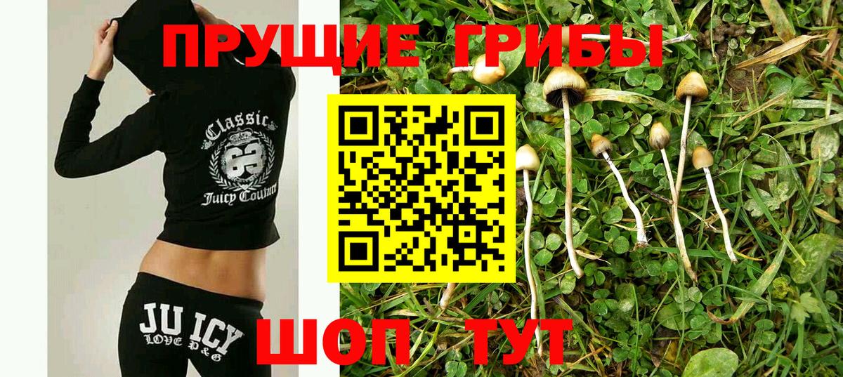 Ангарск  Псилоцибиновые грибы MAGIC MUSHROOMS  Вход с VPN 